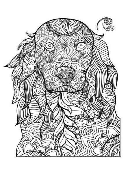 Раскраска антистресс