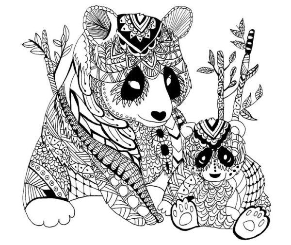 Керби Розанес Сова