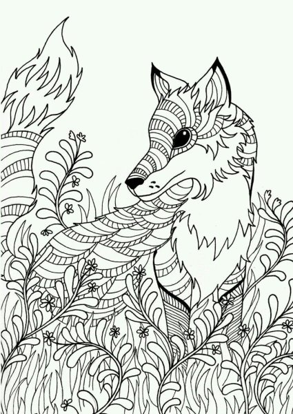 Раскраска антистресс лиса