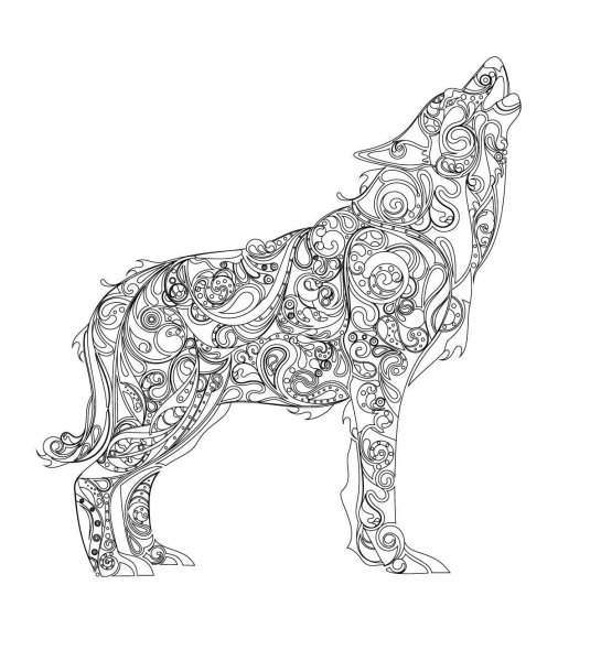 Раскраска-антистресс. Собака