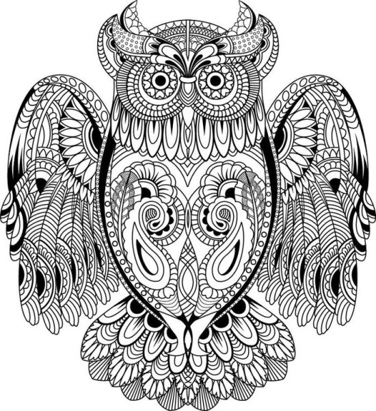Раскраска антистресс Сова