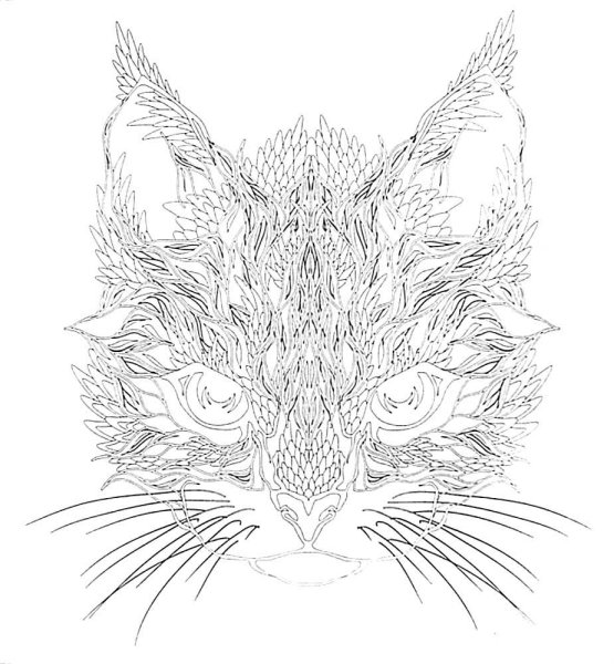 Раскраска антистресс