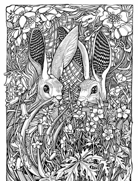 Арт терапия природа