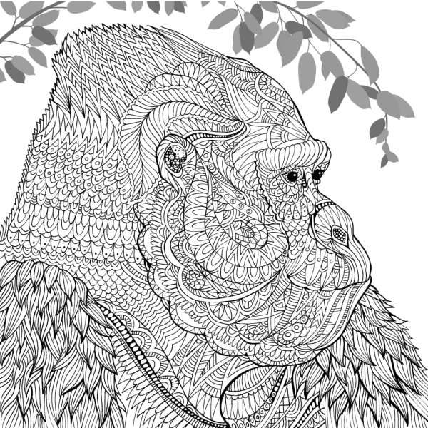 Раскраски сложные