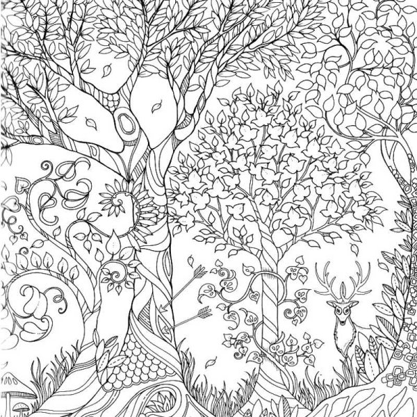 Заколдованный лес Джоанна Басфорд