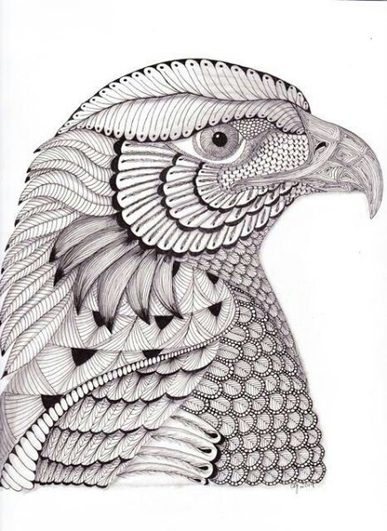 Дудлинг животные