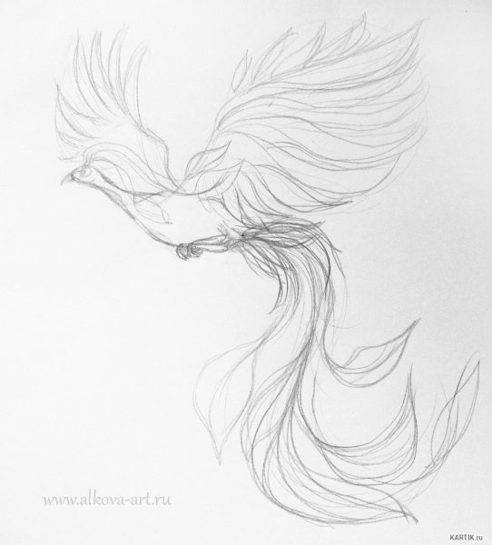 Жар птица рисунок карандашом