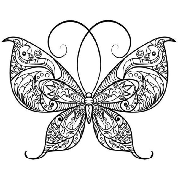 Раскраски для взрослых бабочки
