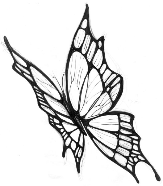 Графичная бабочка