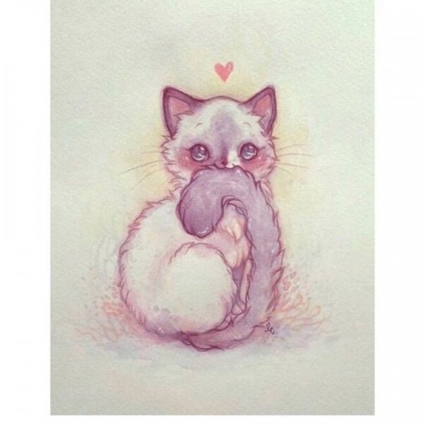 Котики арт карандашом