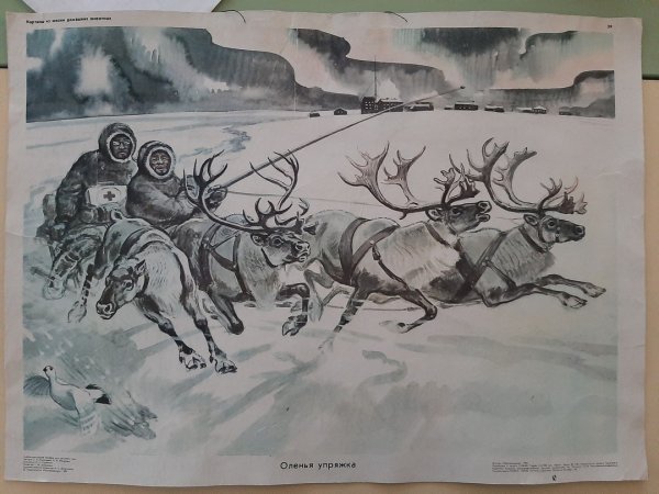 Живопись Оленья упряжка