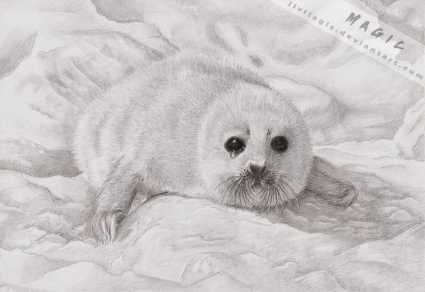 Рисовать красоту воды