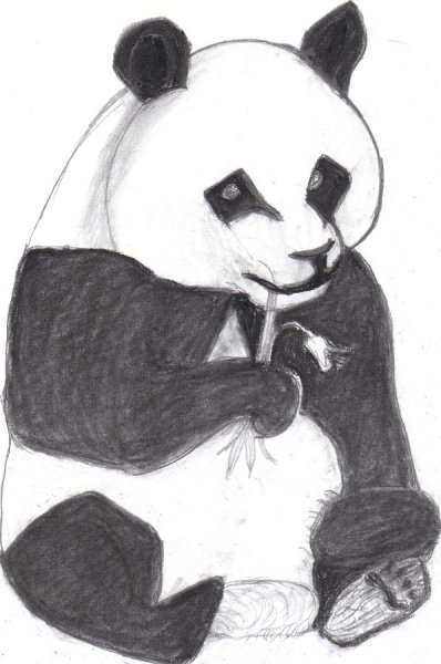 Панда карандашом