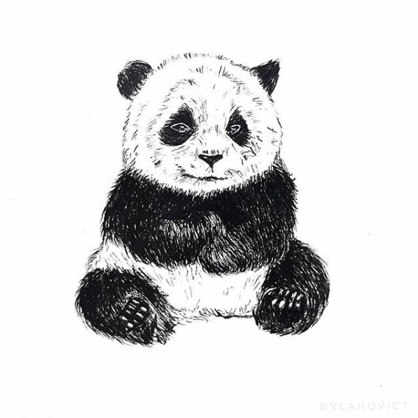 Голова панды для срисовки