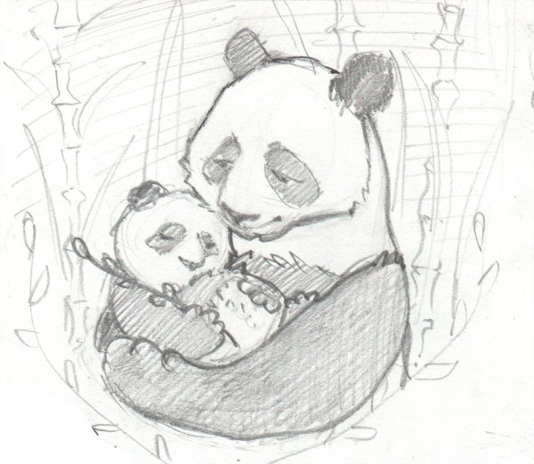 Панда рисунок карандашом для срисовки