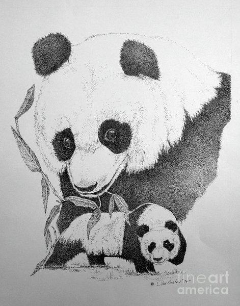 Панда с бантиком рисунок