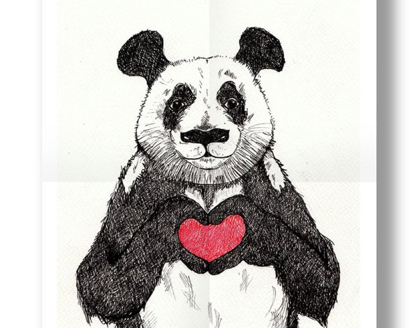 Панда для рисования