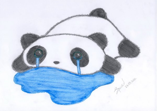 Картина панды карандашом