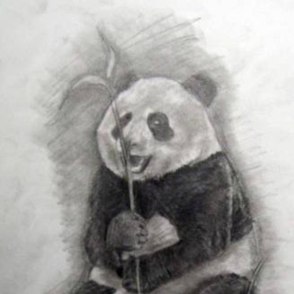 Милые пандочки карандашом