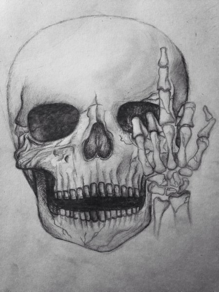 Череп скетч
