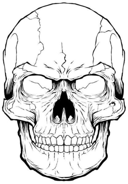 Тату черепа легкие