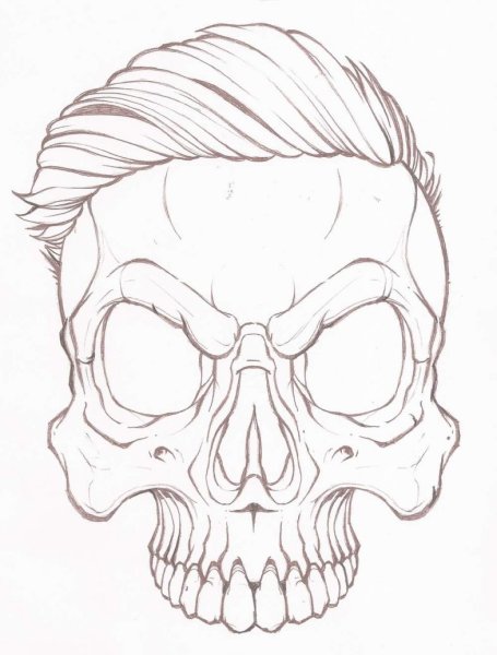 Череп для срисовки