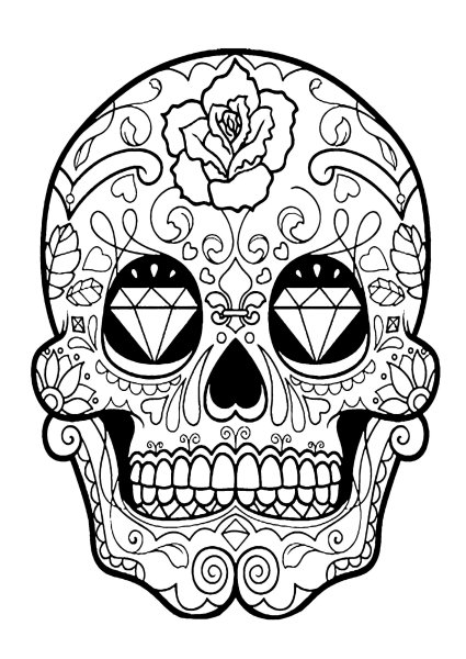 Наброски черепа карандашом