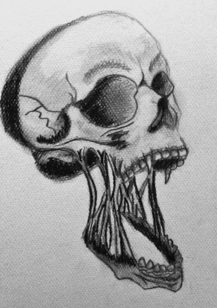 Череп эскиз