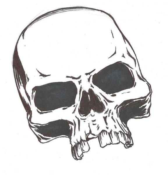 Череп рисунок карандашом