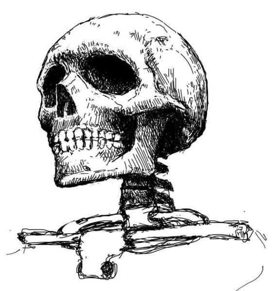 Наброски черепа карандашом