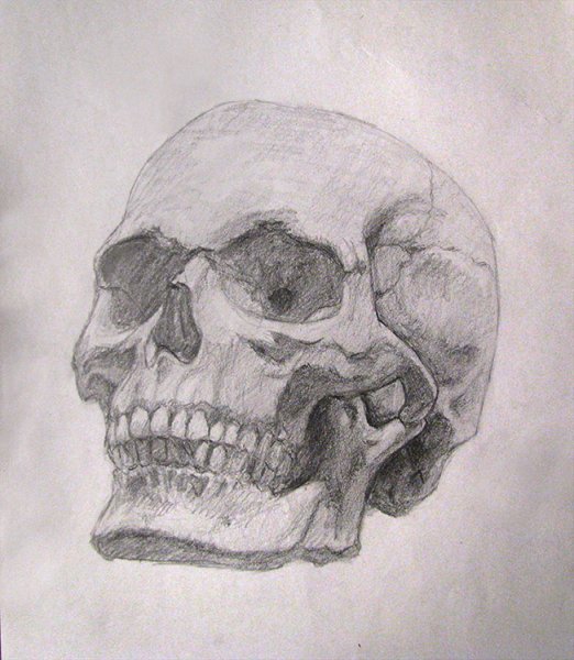 Череп для распечатки