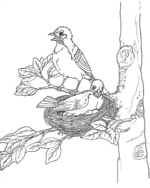 Бианки Лесные домишки раскраска