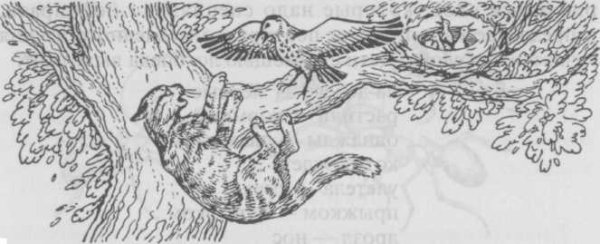 Кот-ворюга Паустовский раскраска