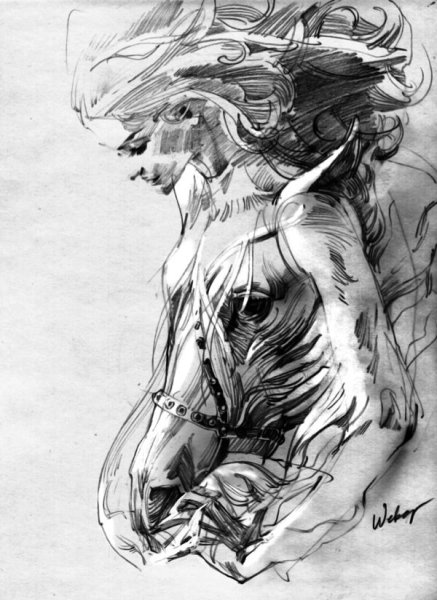 Иллюстрации Zhang Weber