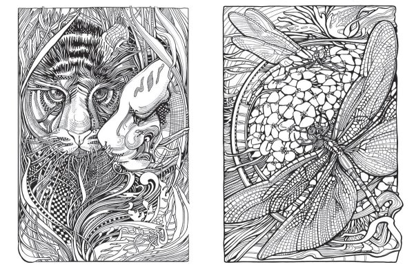 Зиффлин Мания ботаника раскраска