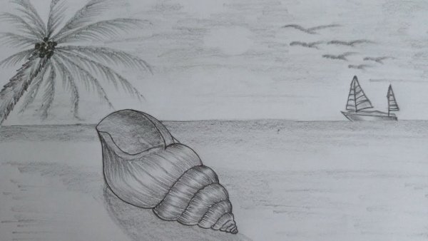 Берег моря карандашом