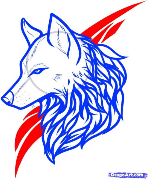 Легкий набросок волка
