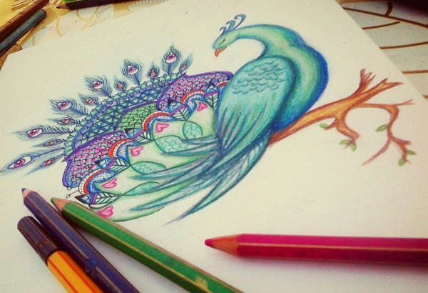 Рисунки для срисовки цветными ручками