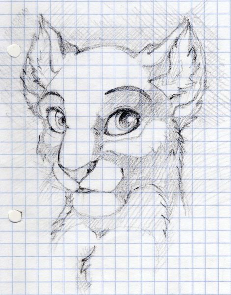 Красивые зарисовки в тетради