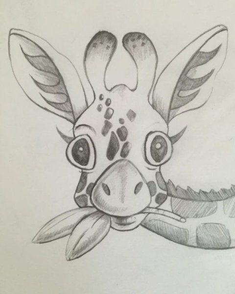 Единорог рисунок карандашом