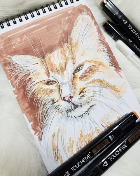 Маркеры для скетчинг