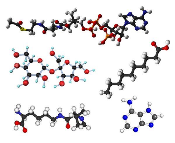 Молекулы органических веществ