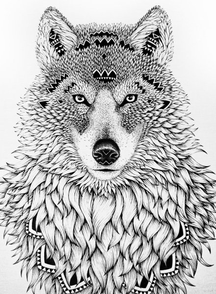 Волк стилизация