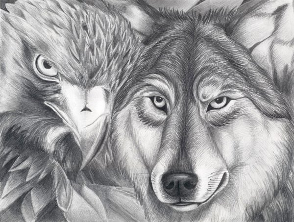 Картины волка чб