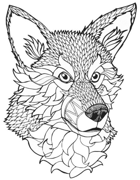 Злой волк раскраска