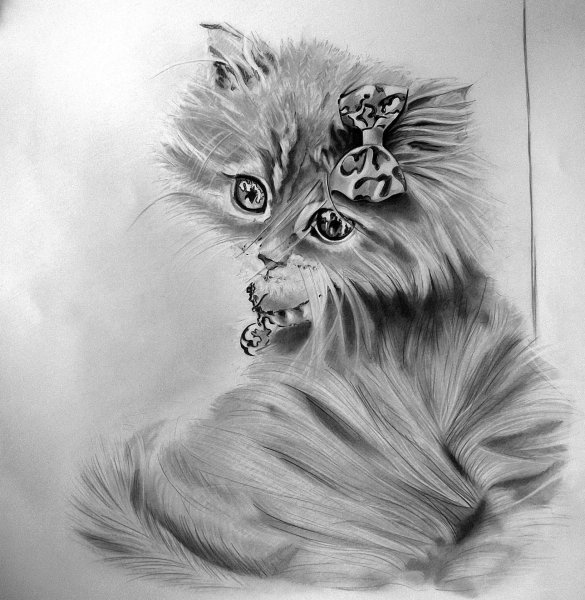 Рисунки карандашом