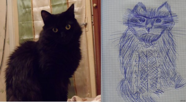 Рисунки для срисовки котики сложные