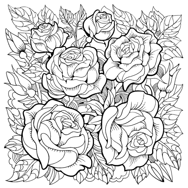 Раскраска антистресс "цветы"