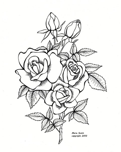Роза раскраска