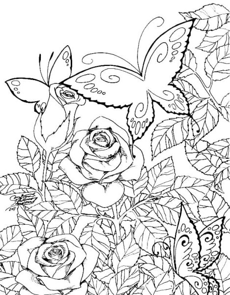 Цветы в графике